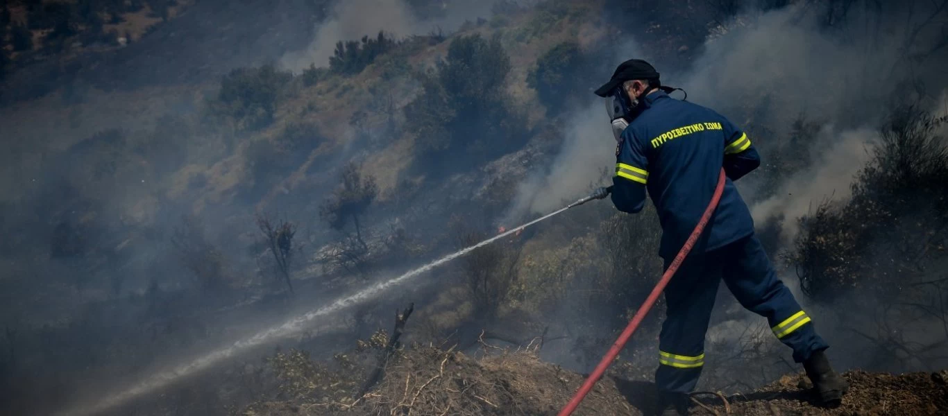 Φωτιά σε δασική έκταση στην Κεφαλλονιά